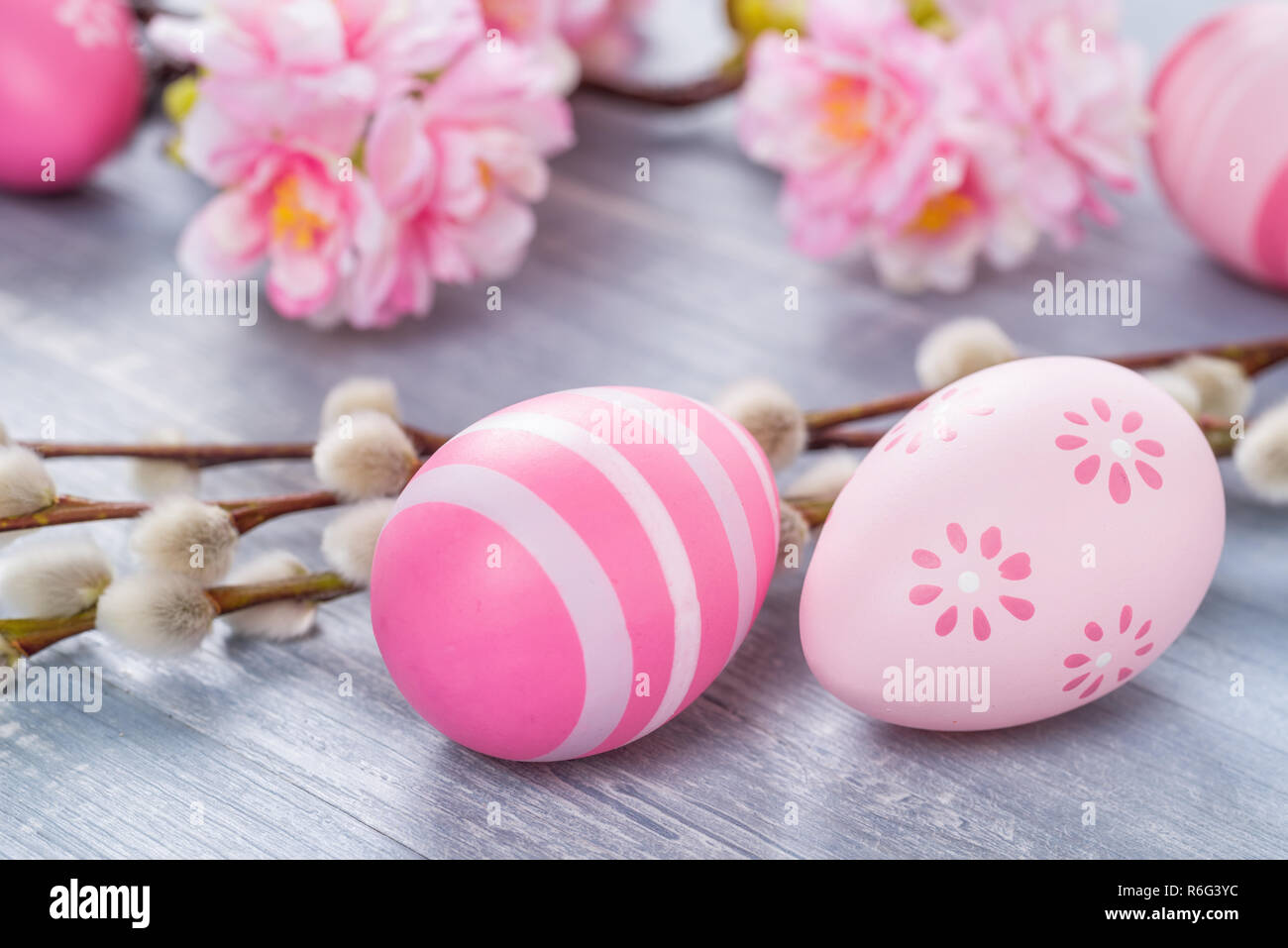 pink easter eggs with cherry blossoms Stock Photo Alamy