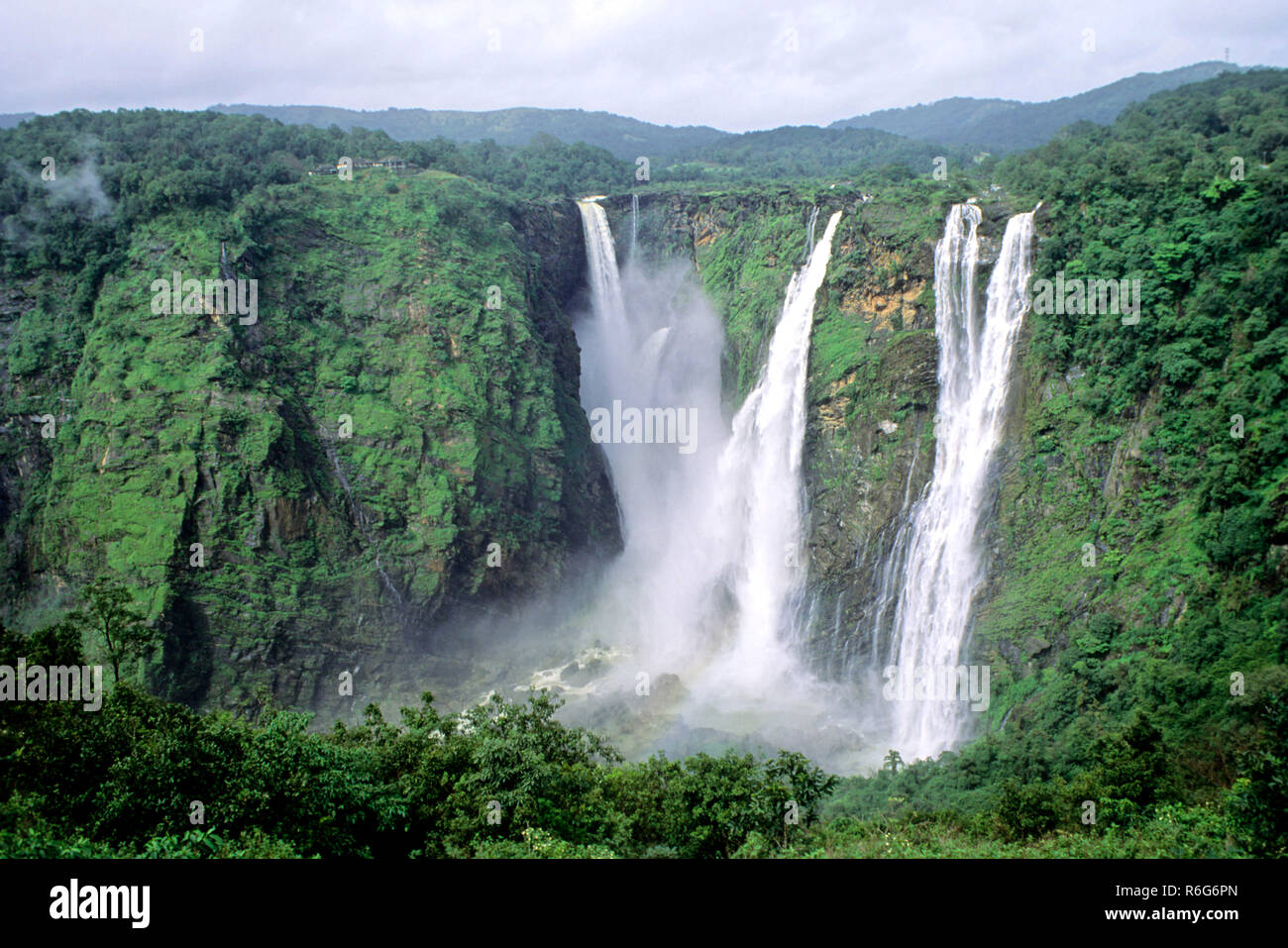 Jog Falls Waterfall Sharavati River Western Ghats Siddapur Taluk Jog Falls Waterfall Sharavati River Western Ghats Siddapur Taluk
