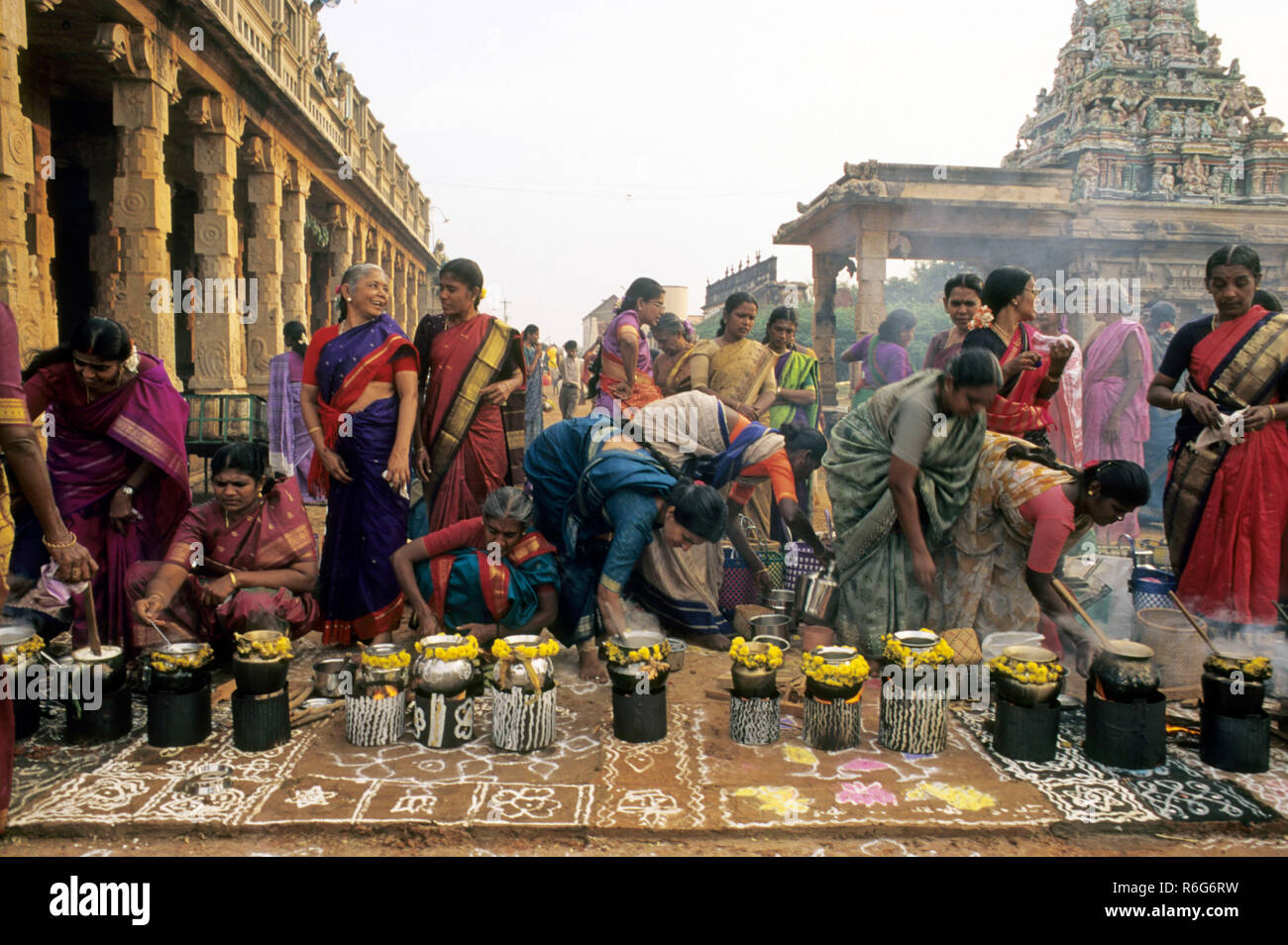 Pongal Festival, Thai Pongal festival, women cooking rice and milk dish