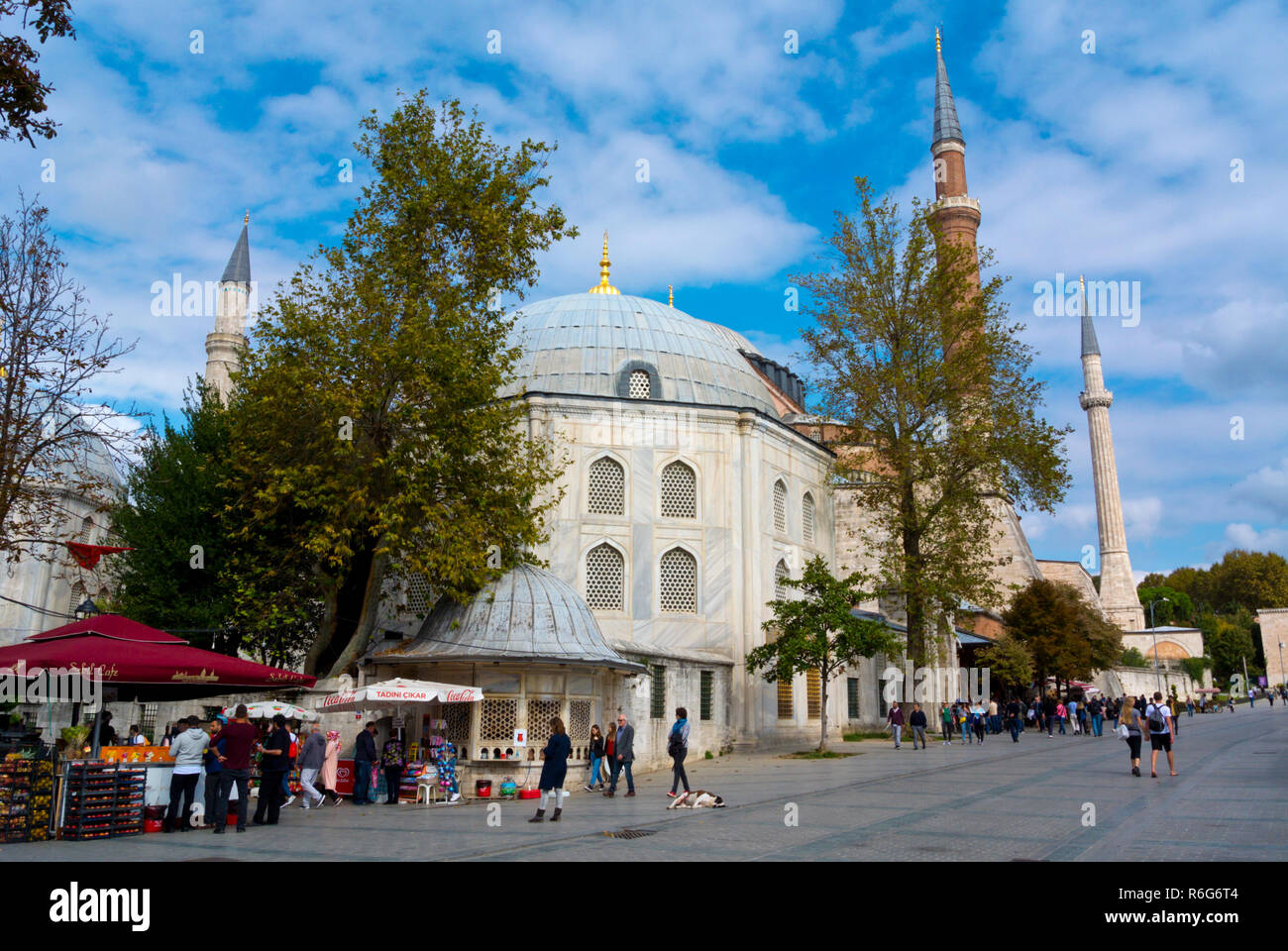 Hagia Sophia, Ayasofya Meydani, Fatih, Istanbul, Turkey, Eurasia Stock ...