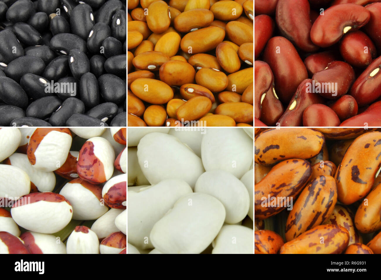 Beans collection of different varieties Stock Photo Alamy