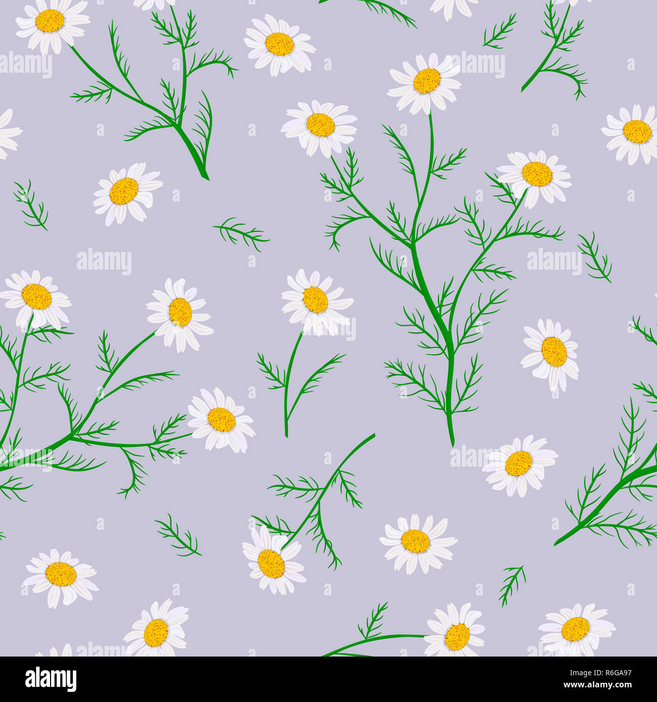 Daisy flowers. Seamless pattern. Vector illustration Stock Photo - Alamy