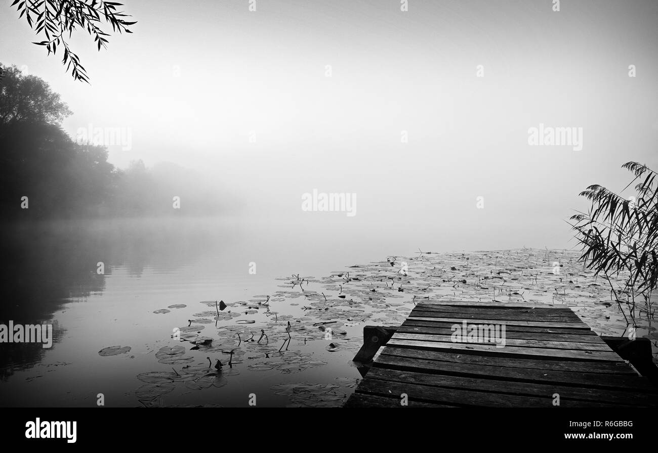 Soft colours in nature Black and White Stock Photos & Images - Alamy