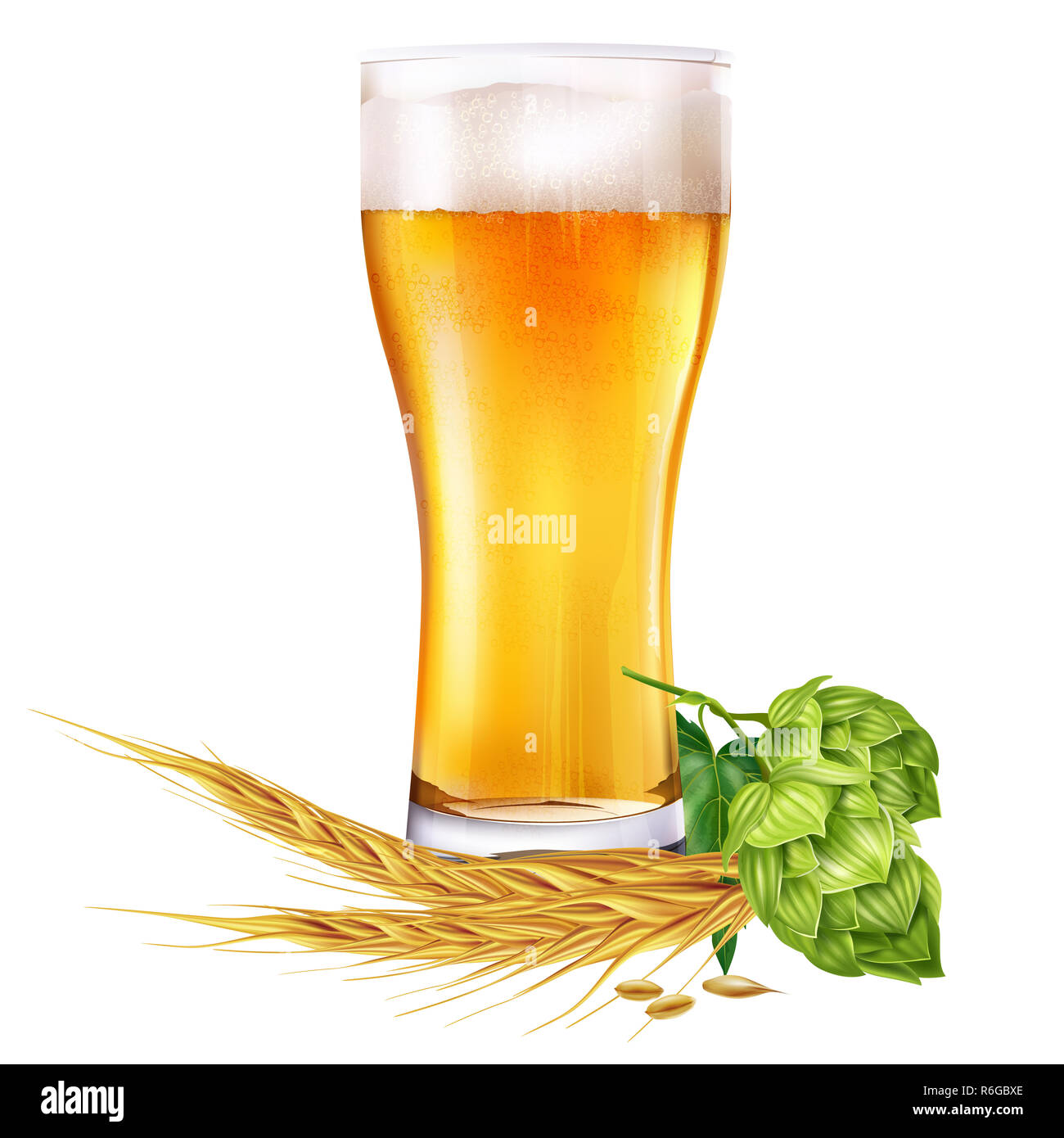 Glass of beer and hops on white background Stock Photo