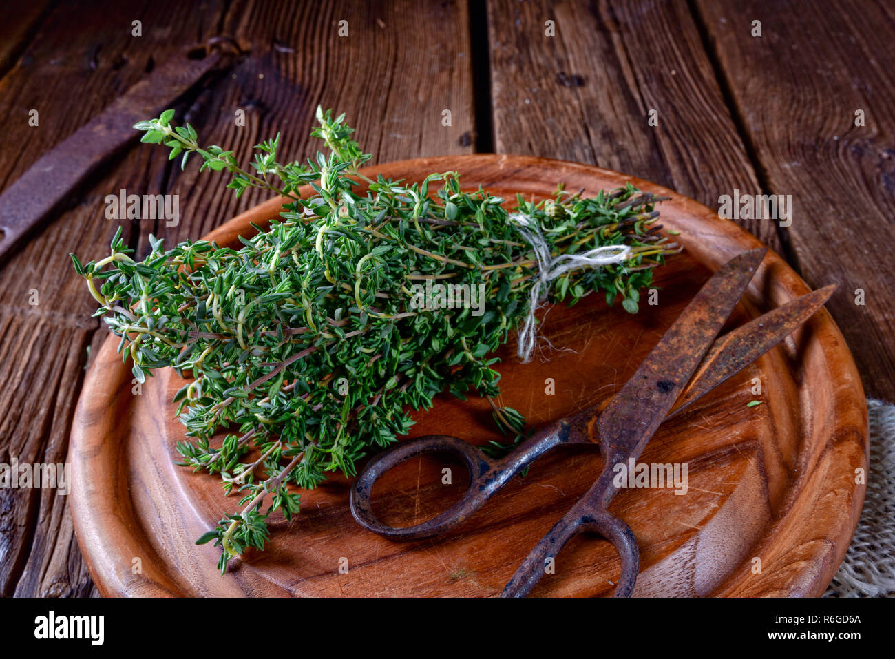 fresh and aromatic thymus Stock Photo