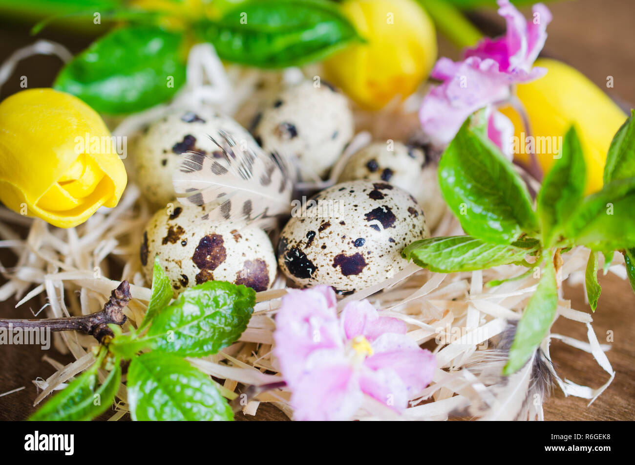 Easter Composition of eggs and spring flowers Stock Photo - Alamy
