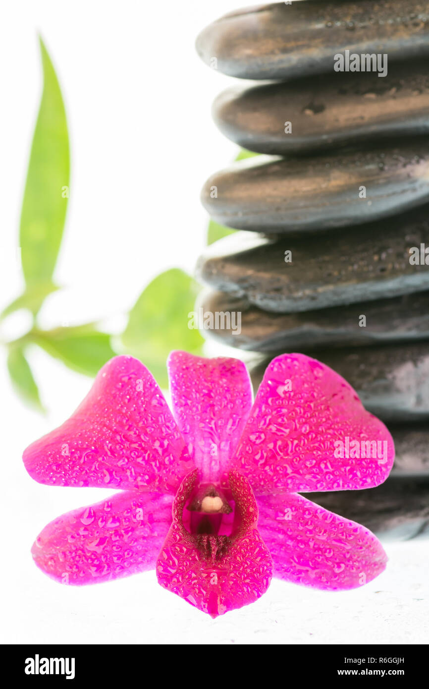 Black zen stones with orchid and bamboo leaves Stock Photo