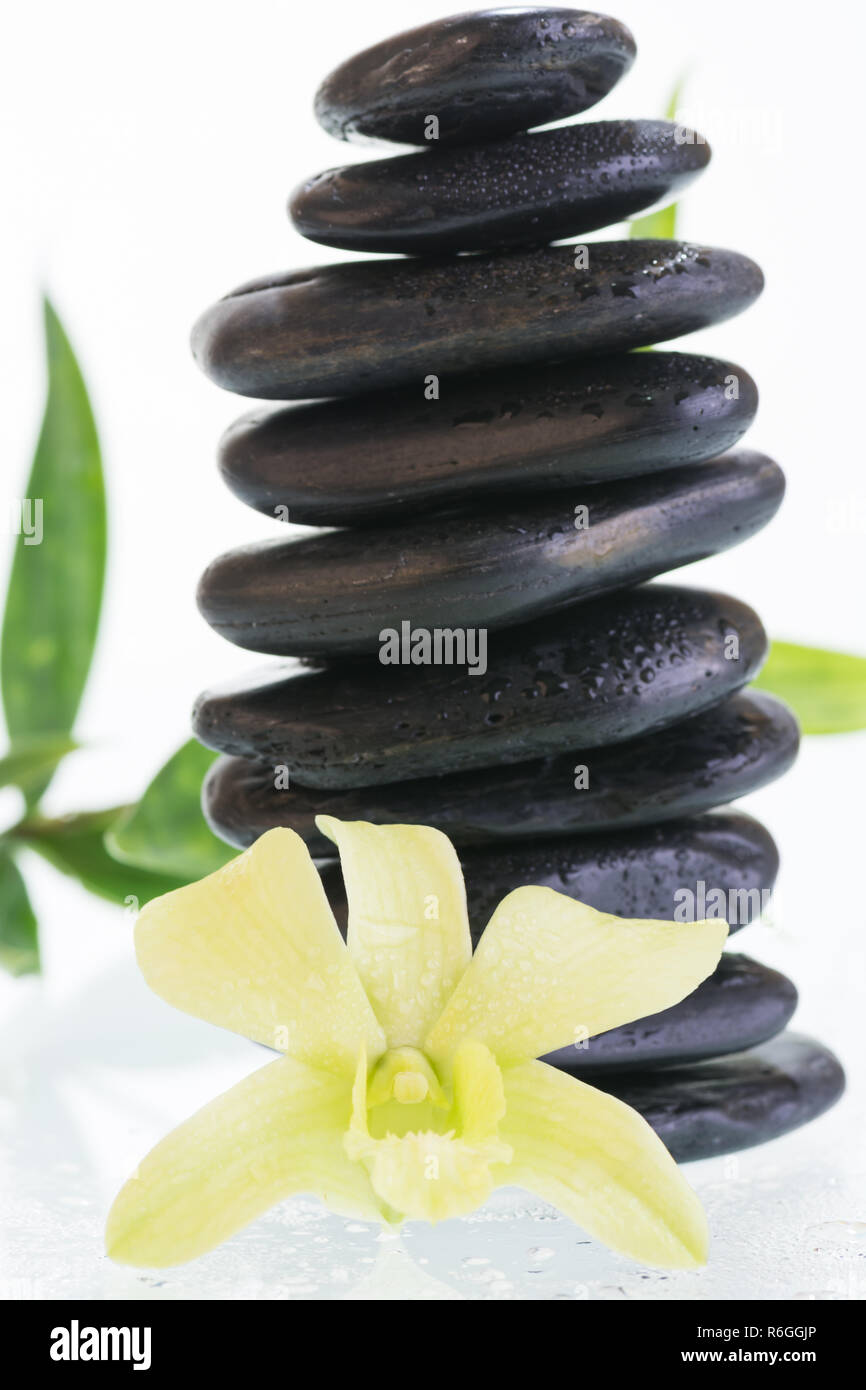 Black zen stones with orchid and bamboo leaves Stock Photo