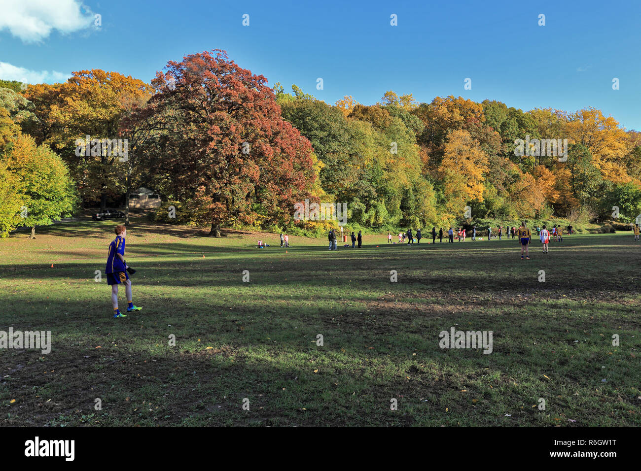soccer field Tibbetts Brook Park Yonkers New York Stock Photo Alamy