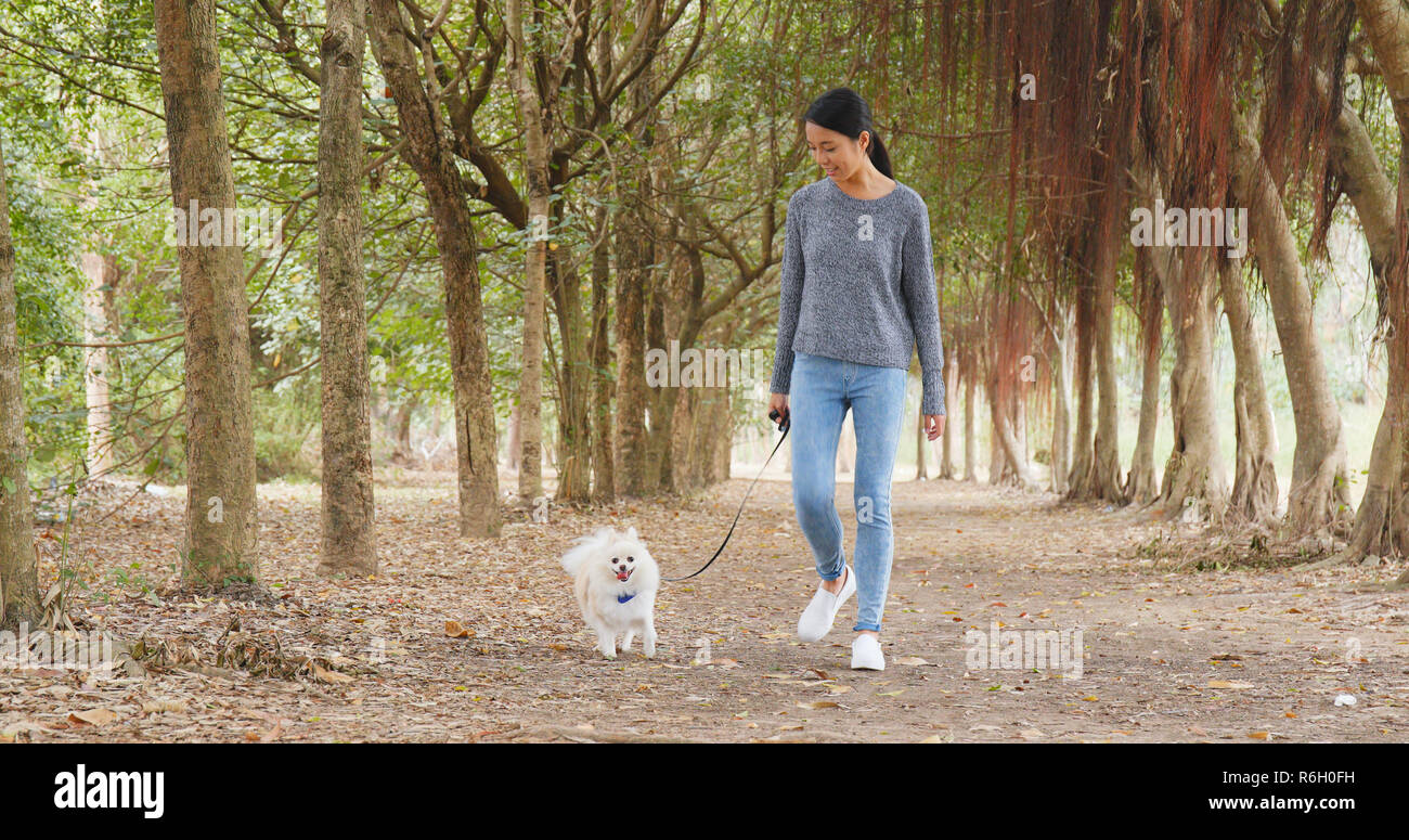 Woman walking with her dog in park Stock Photo - Alamy