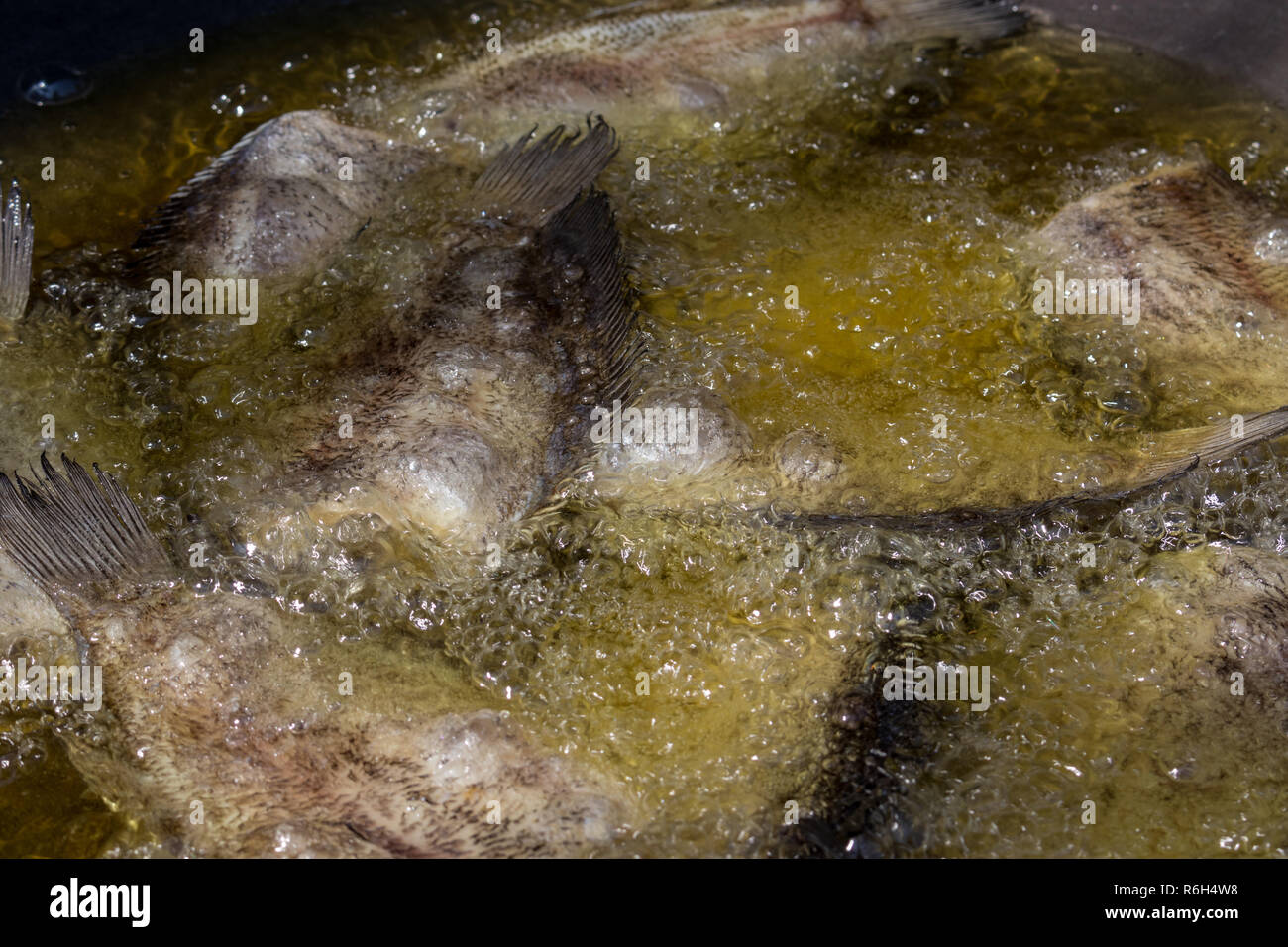 Fried Trichogaster pectoralis in large pan Stock Photo