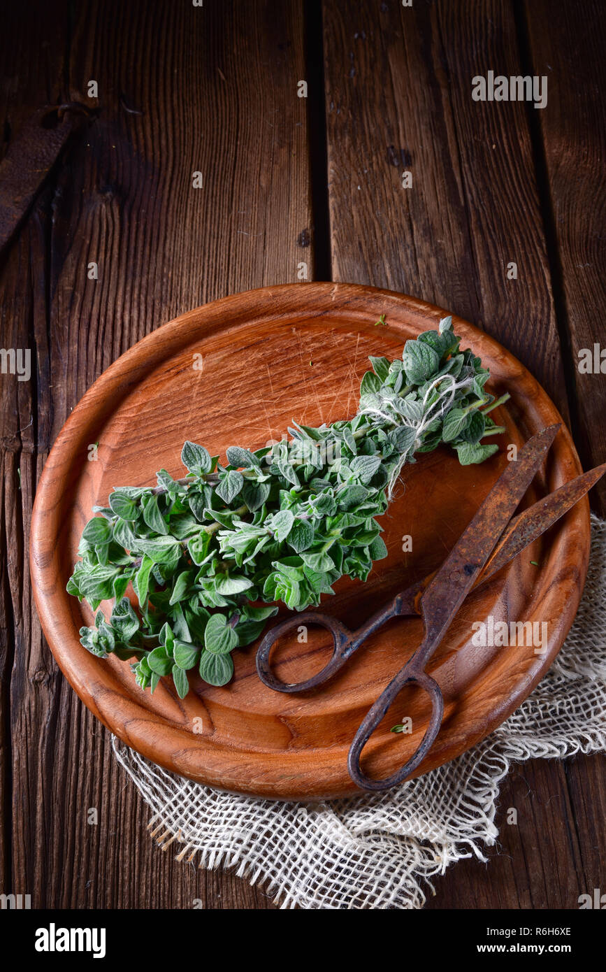 aromatic oregano (origanum vulgare) Stock Photo