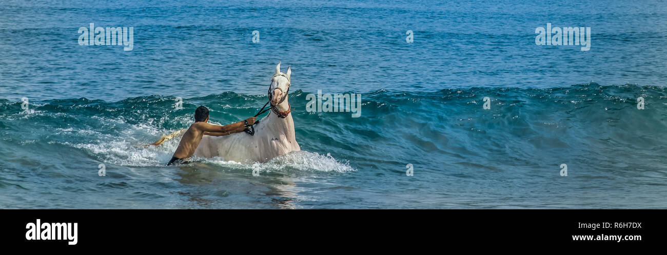 A man with his horse in a ocean wave in the arabian sea. Stock Photo