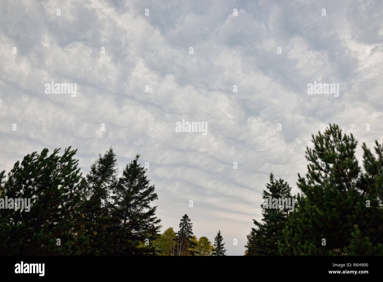 Stratocumulus cloud formations in autumn, Greater Sudbury, Ontario, Canada Stock Photo