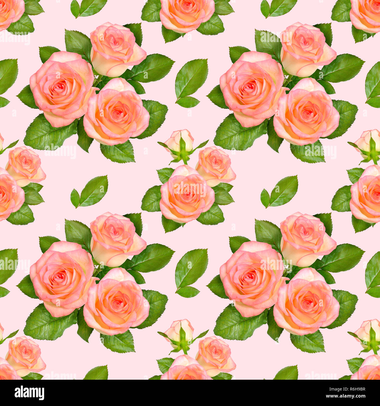 Pink Roses Seamless Seamless background with Pink roses Stock Photo - Alamy