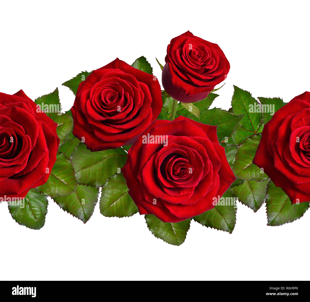 Seamless border with red roses. Isolated on white background Stock