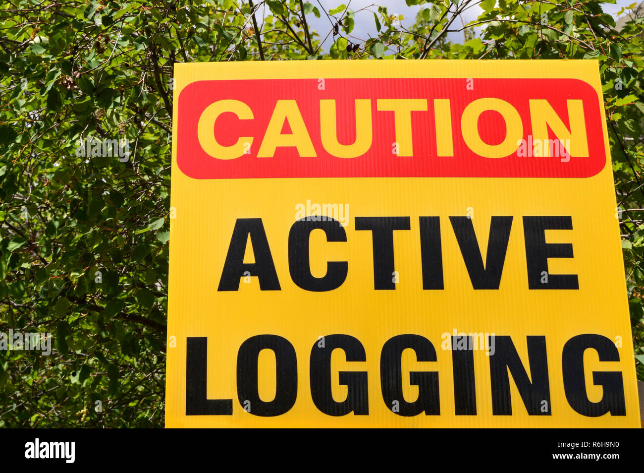 Commercial Logging Stock Photos & Commercial Logging Stock Images Alamy