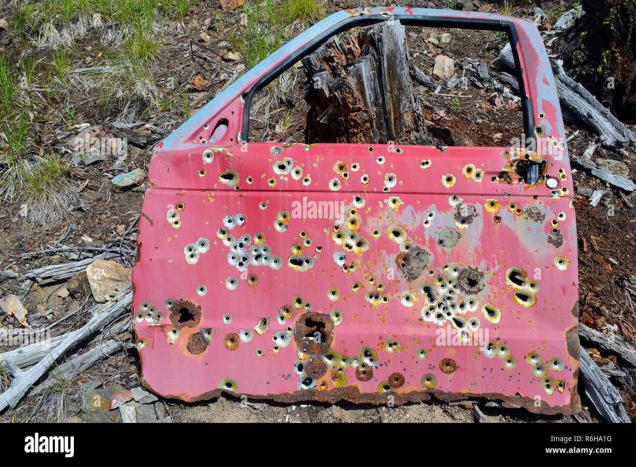 Target Practice on a Car Door Stock Photo - Alamy