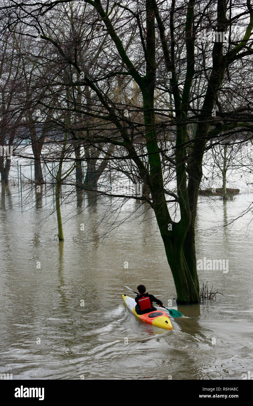 kayaker rides over the bollards meadows at the rhine flood Stock Photo