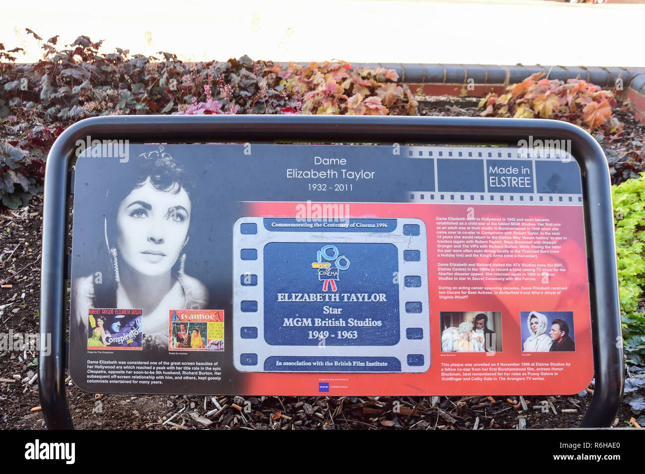 Elizabeth Taylor tribute plaque outside Elstree Studios, Shenley Road, Borehamwood, Hertfordshire, England, United Kingdom Stock Photo