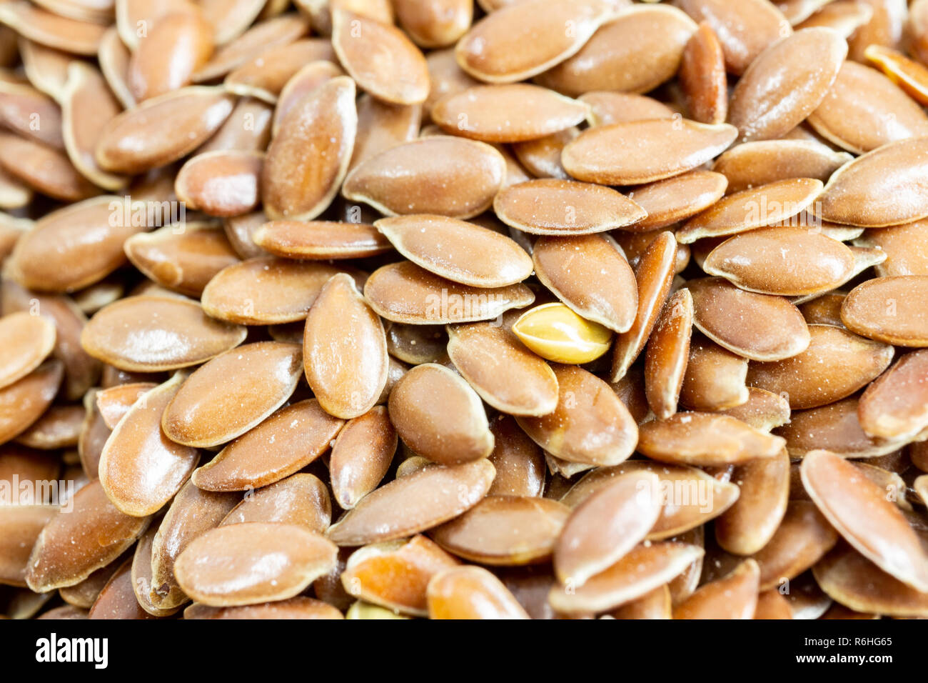 Linseed or flaxseed (Linum usitatissimum) macro Stock Photo Alamy