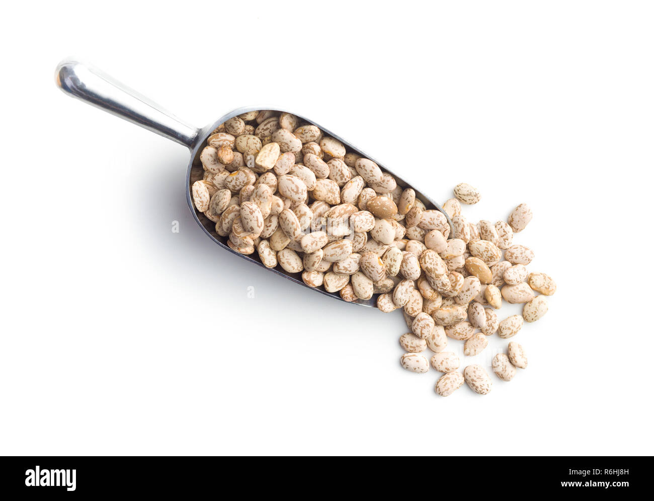 Dried borlotti beans. Stock Photo