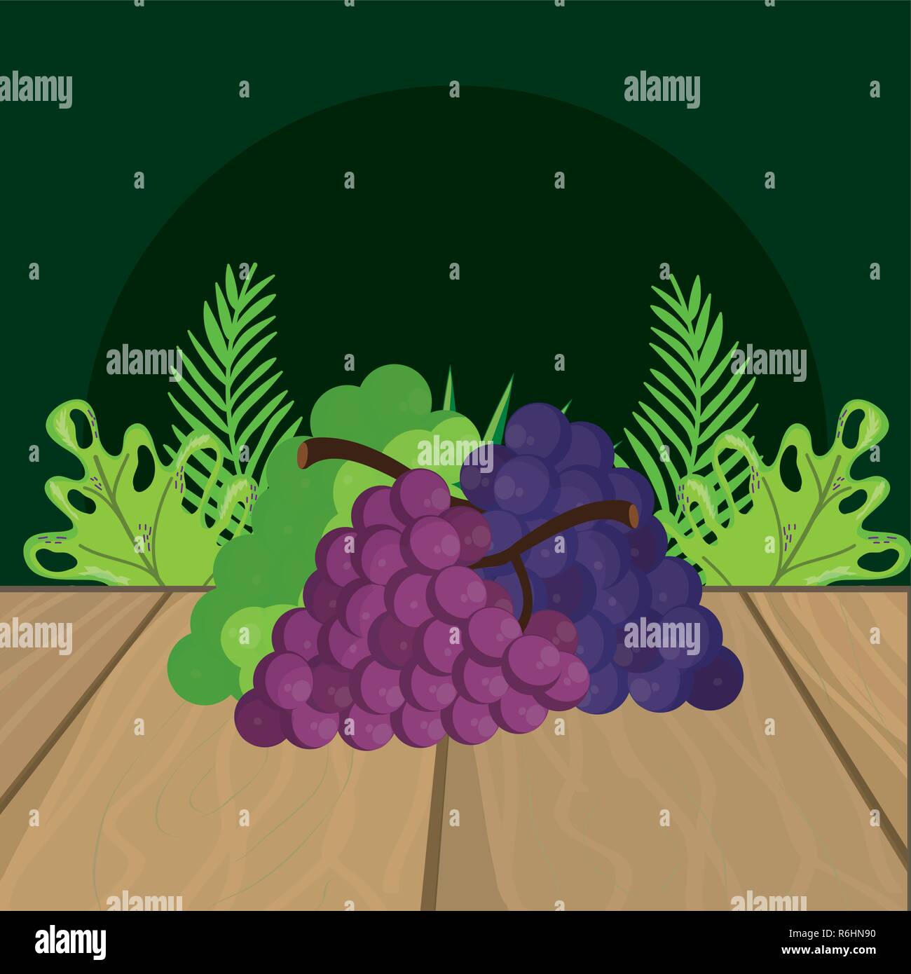 fresh fruits grapes cartoon Stock Vector Image & Art Alamy