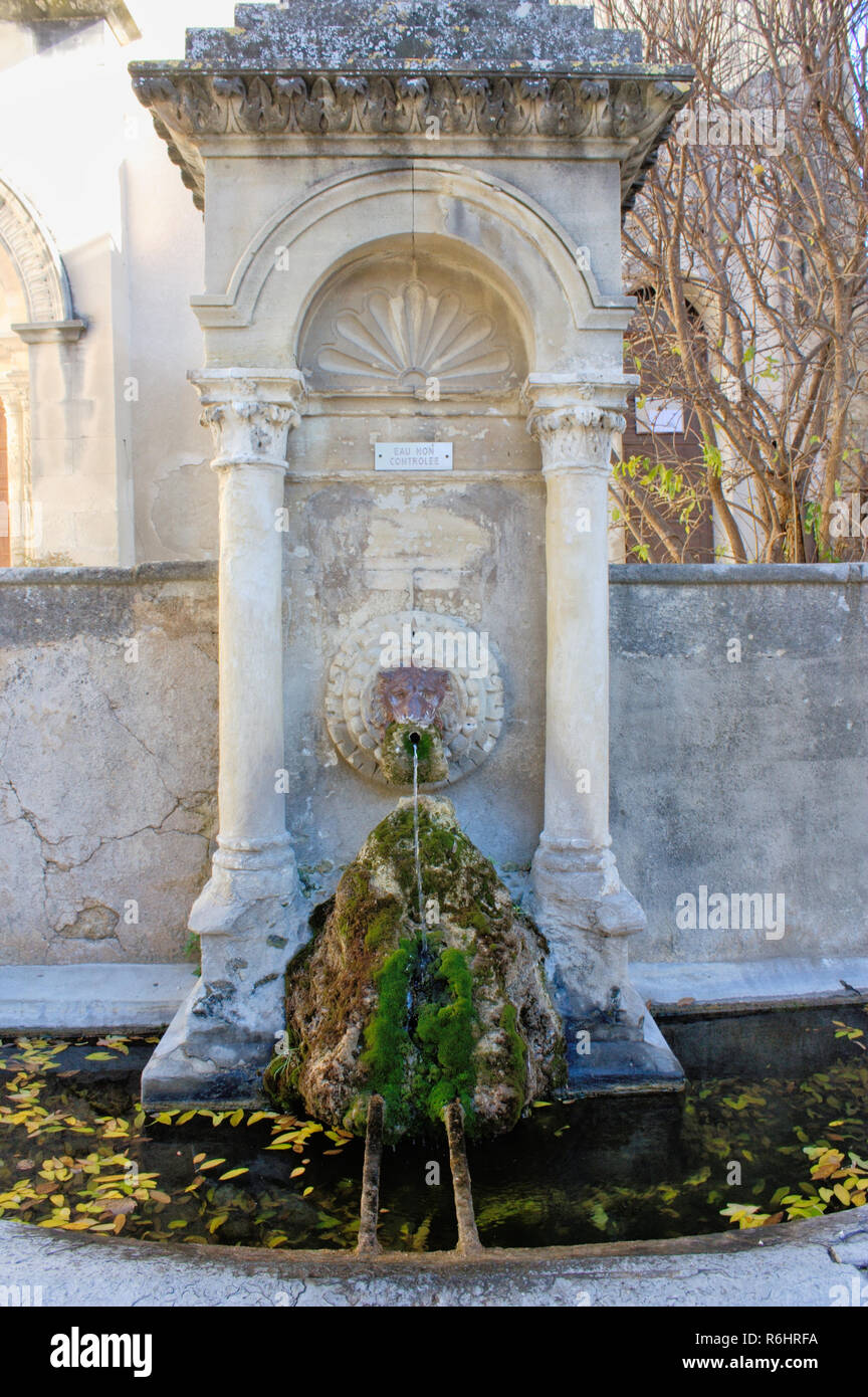 Fountain in the shape of a lion with mossy stone and water flowing Stock Photo