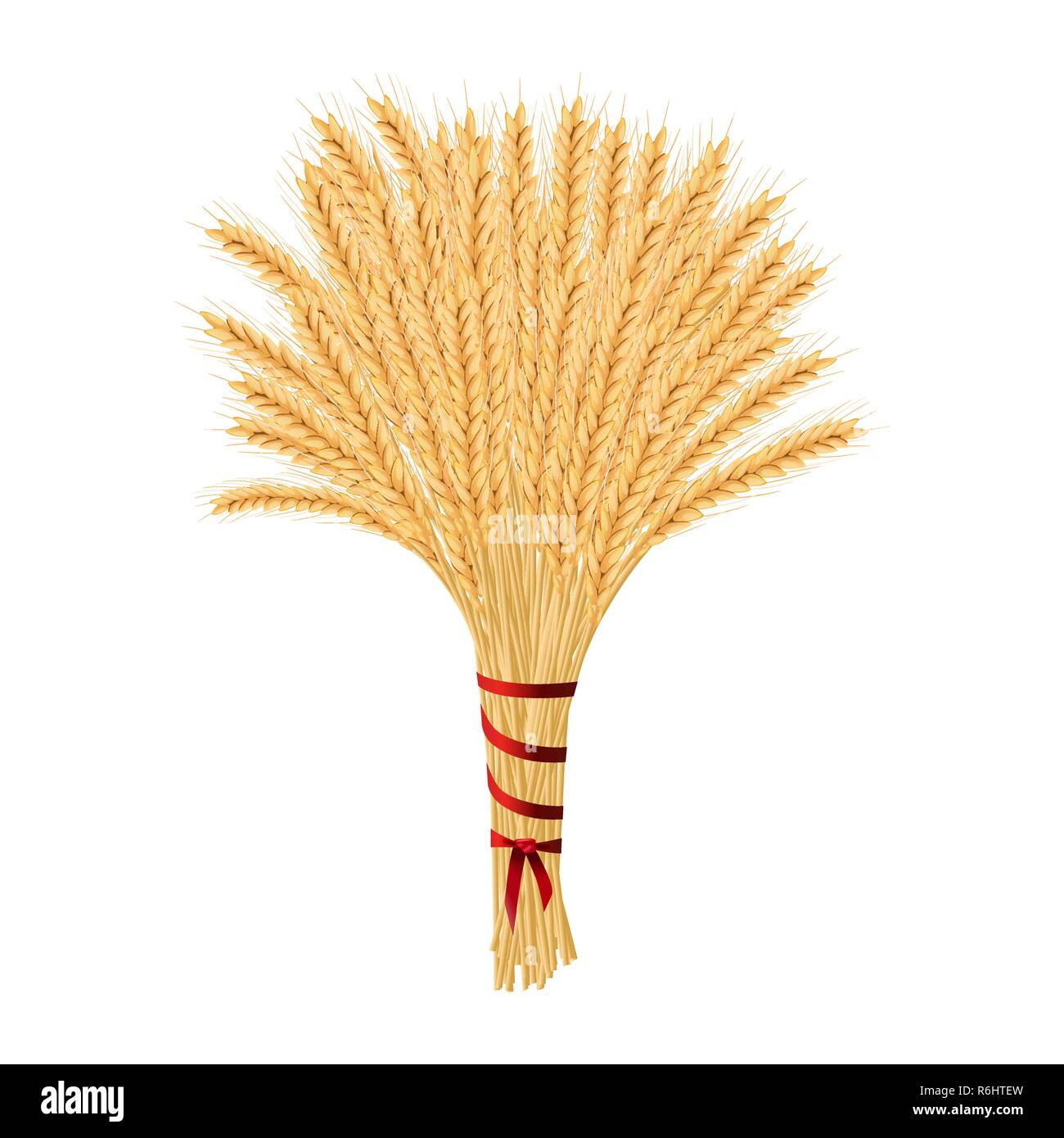 Bunch of wheat. Reap of spiked grain heads. Christmas sheaf. Sheaf of crop ears. Spikes, Julkarve, Julenek, vector illustration. Stock Vector