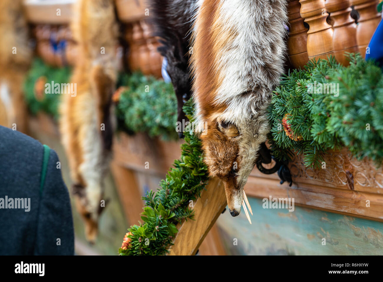 Fox skin hi-res stock photography and images - Alamy