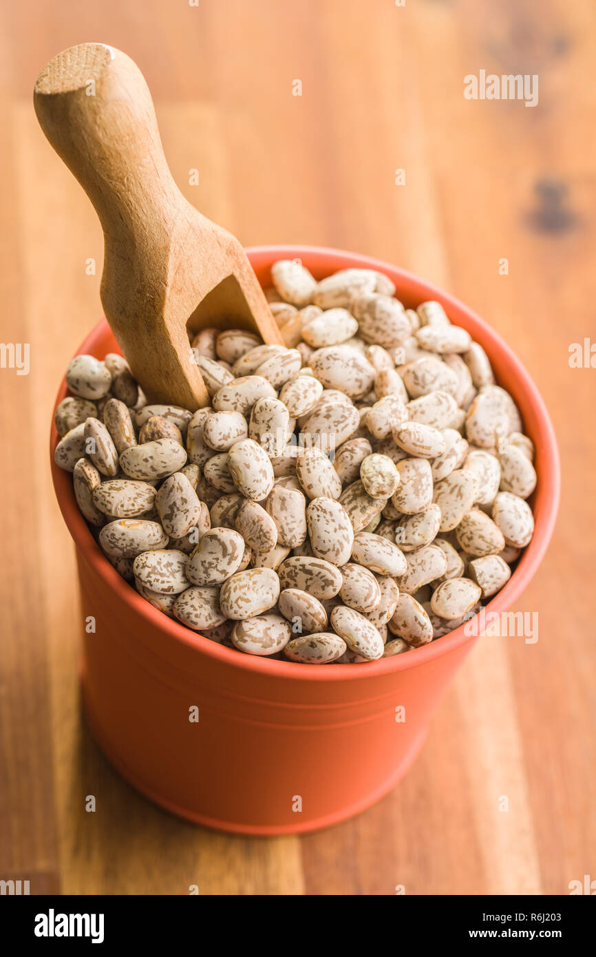 Dried borlotti beans Stock Photo Alamy