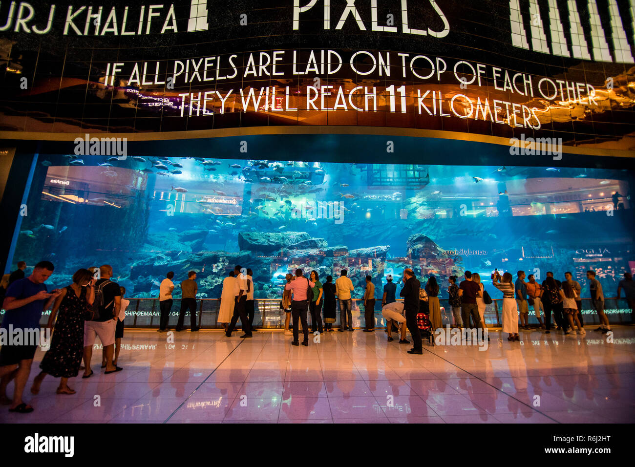 DUBAI, UAE - October, 2018: Aquarium in Dubai Mall world's largest shopping mall , Downtown Burj Dubai Stock Photo