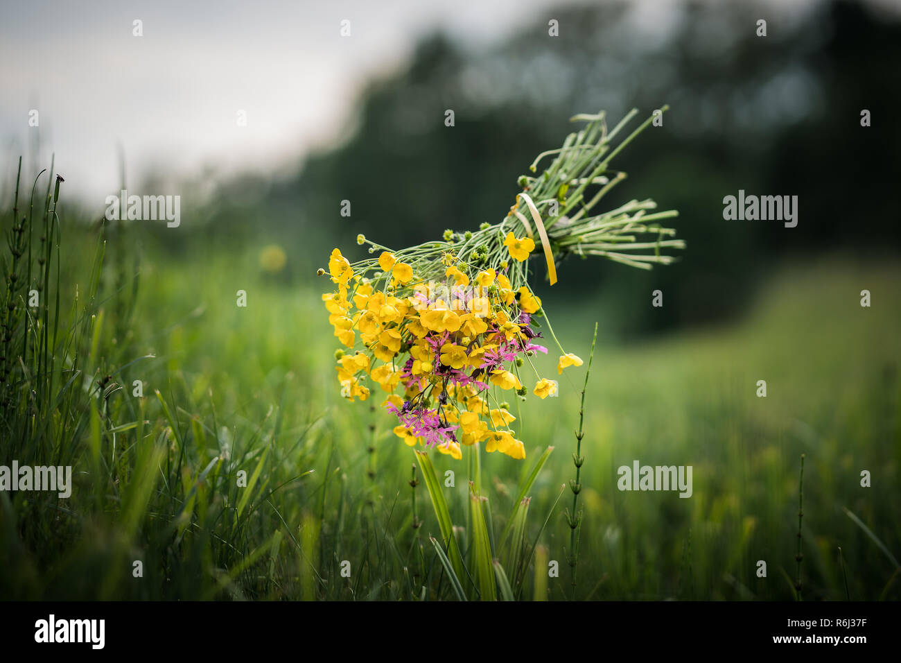 Floating beautiful bouquet of a summer meadow. Stock Photo