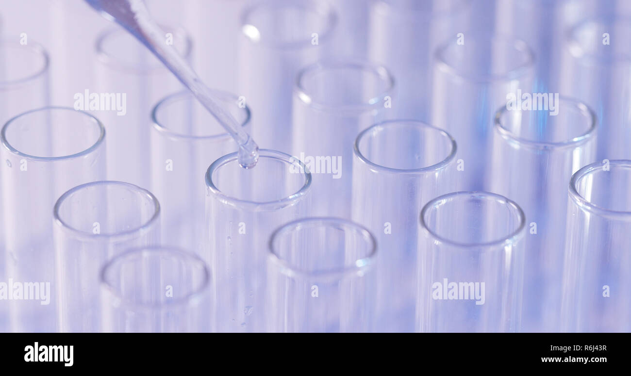 Scientist testing in laboratory for analysis or researching Stock Photo
