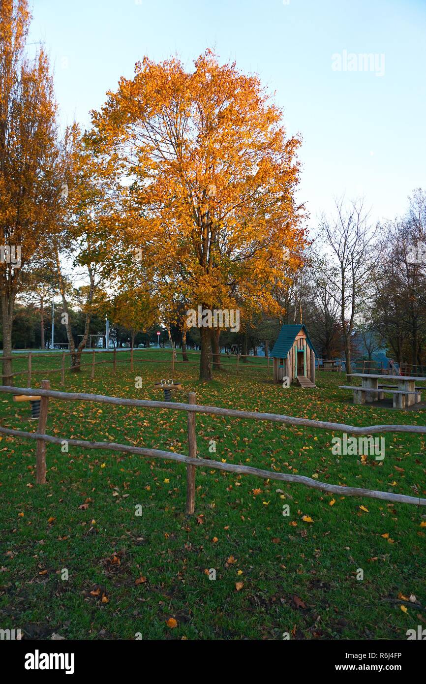 Nature trees vector hi-res stock photography and images - Alamy