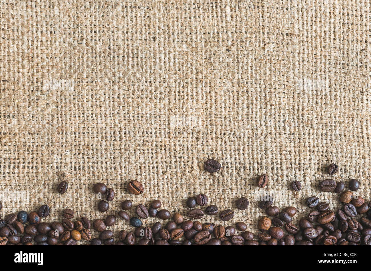 Roasted Coffee Beans on Burlap Background. Copy Space for Text. Stock Photo
