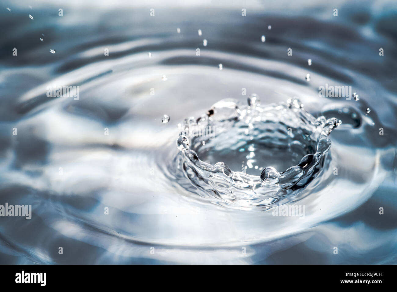 Reflection perfection: Photographer captures images of beautiful bubbles