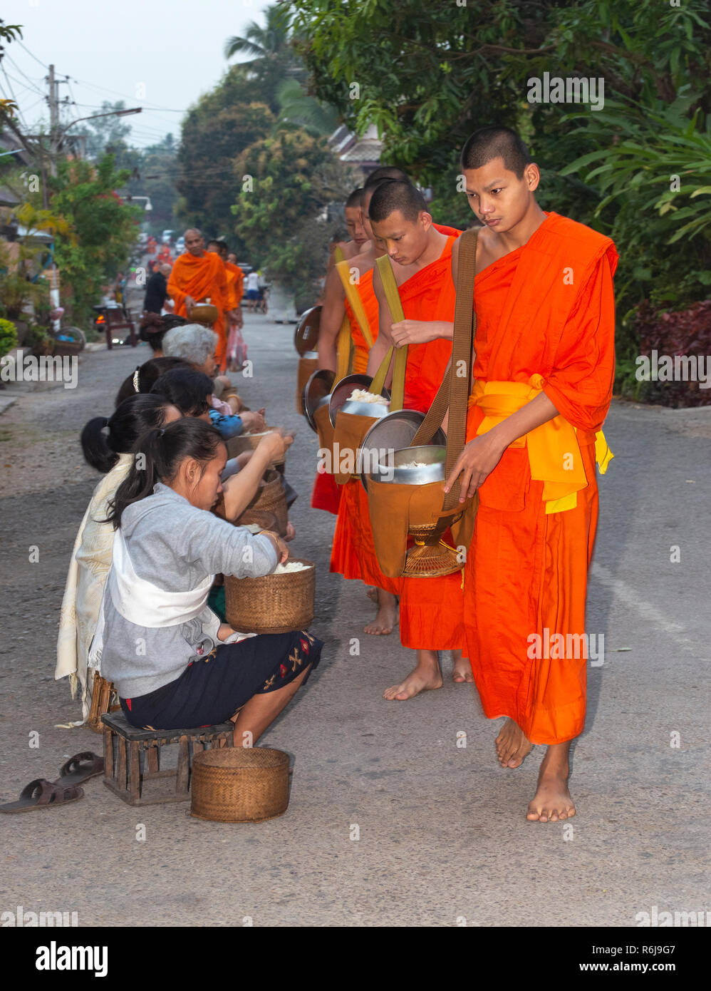 Monks in saffron robes take alms at dawn from local people in the town of Luang Prabang, Laos, South East Asia Stock Photo