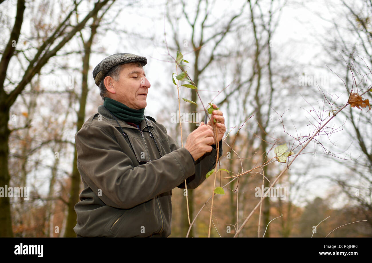 Berlin, Germany. 30th Nov, 2018. Tony Rinaudo, agronomist and winner of ...