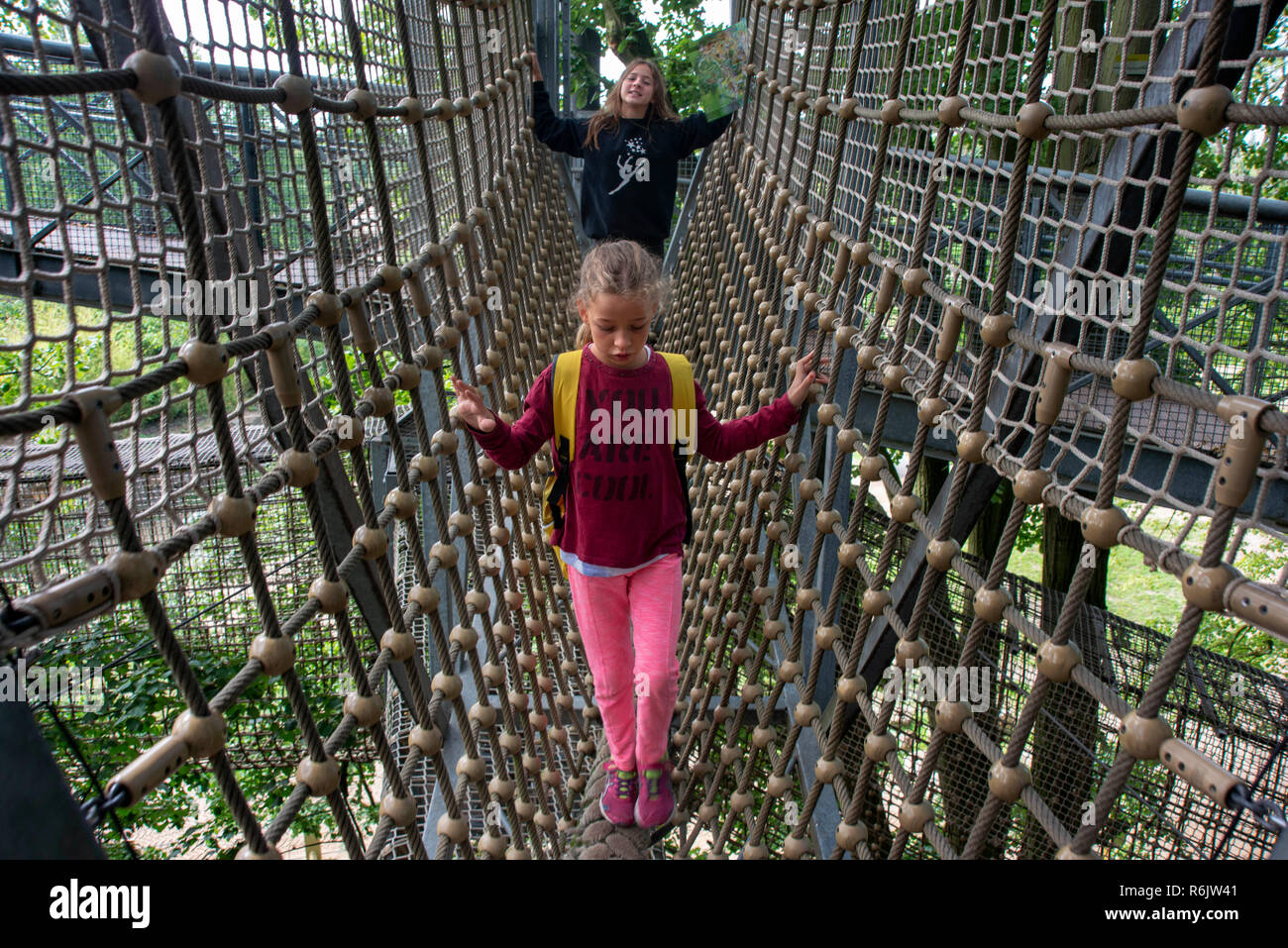 Children walking over rope bridge / swing bridge / suspended bridge at canopy tour in adventure park in summer. Planckendael zoo, Mechelen, Belgium. Stock Photo