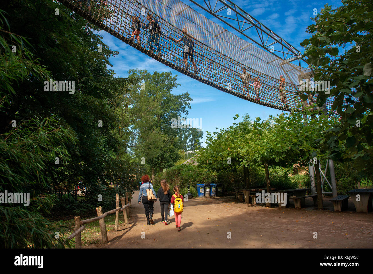 Child with grandparents walking over rope bridge / swing bridge / suspended bridge at canopy tour in adventure park in summer. Planckendael zoo, Meche Stock Photo