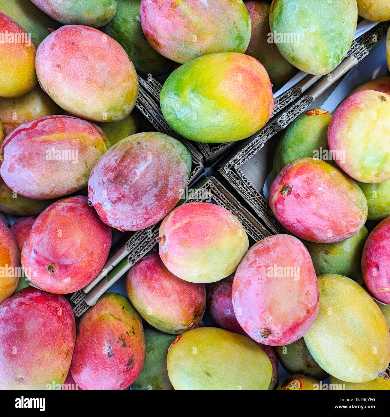 Hayden mangoes in cardboard boxes for sale at a small market, shot