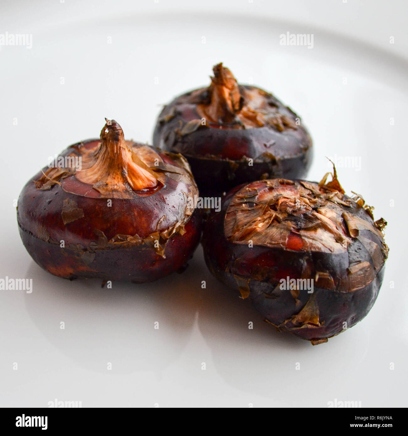 A trio of fresh water chestnuts (Eleocharis dulcis) on a white plate. Stock Photo