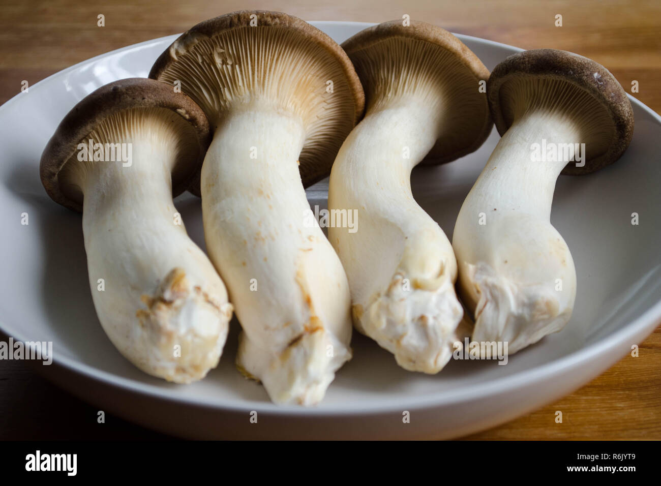 King Oyster Mushrooms (Pleurotus eryngii) on a white plate Stock Photo