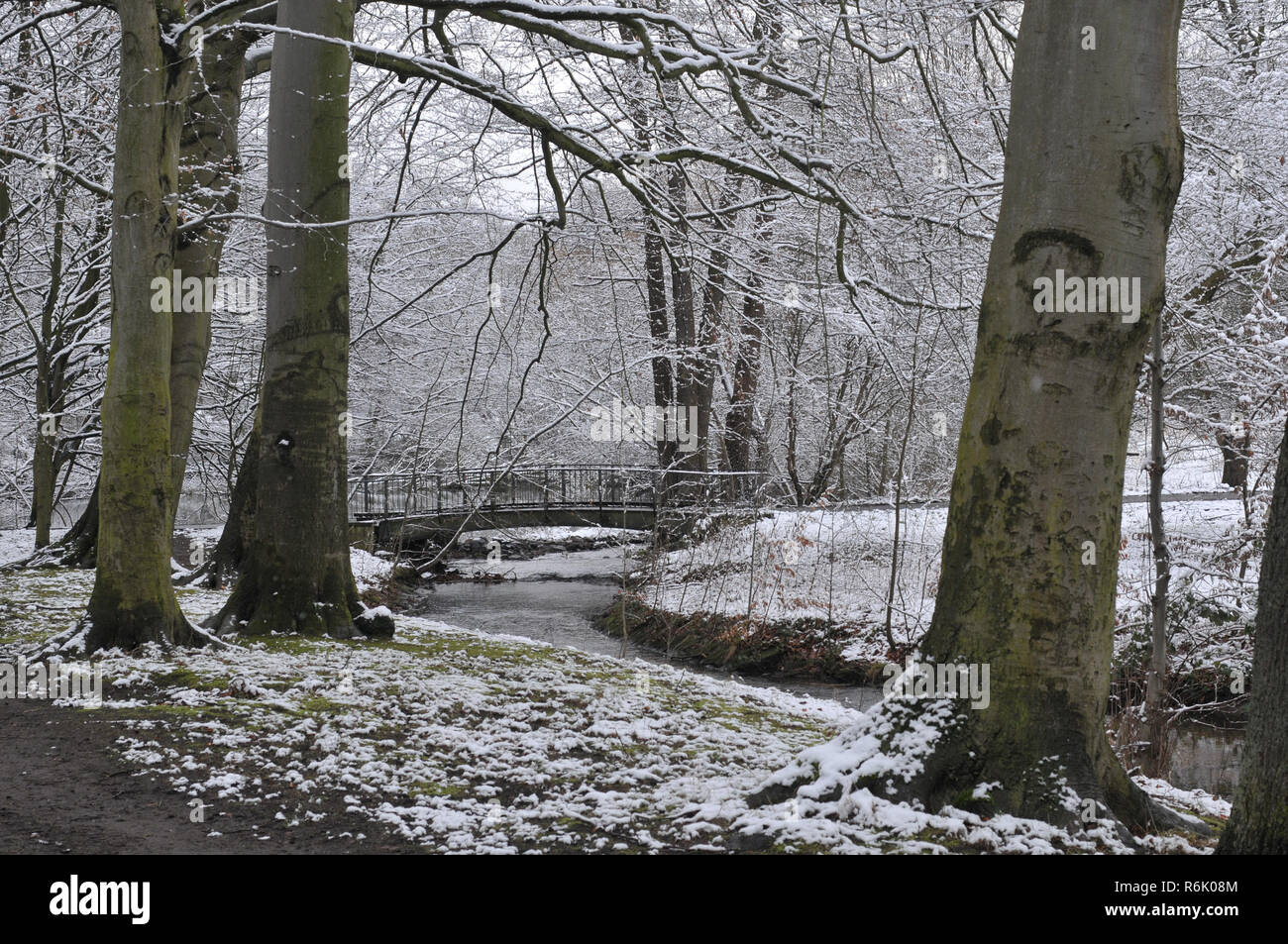 park in winter in hannover with bridge Stock Photo