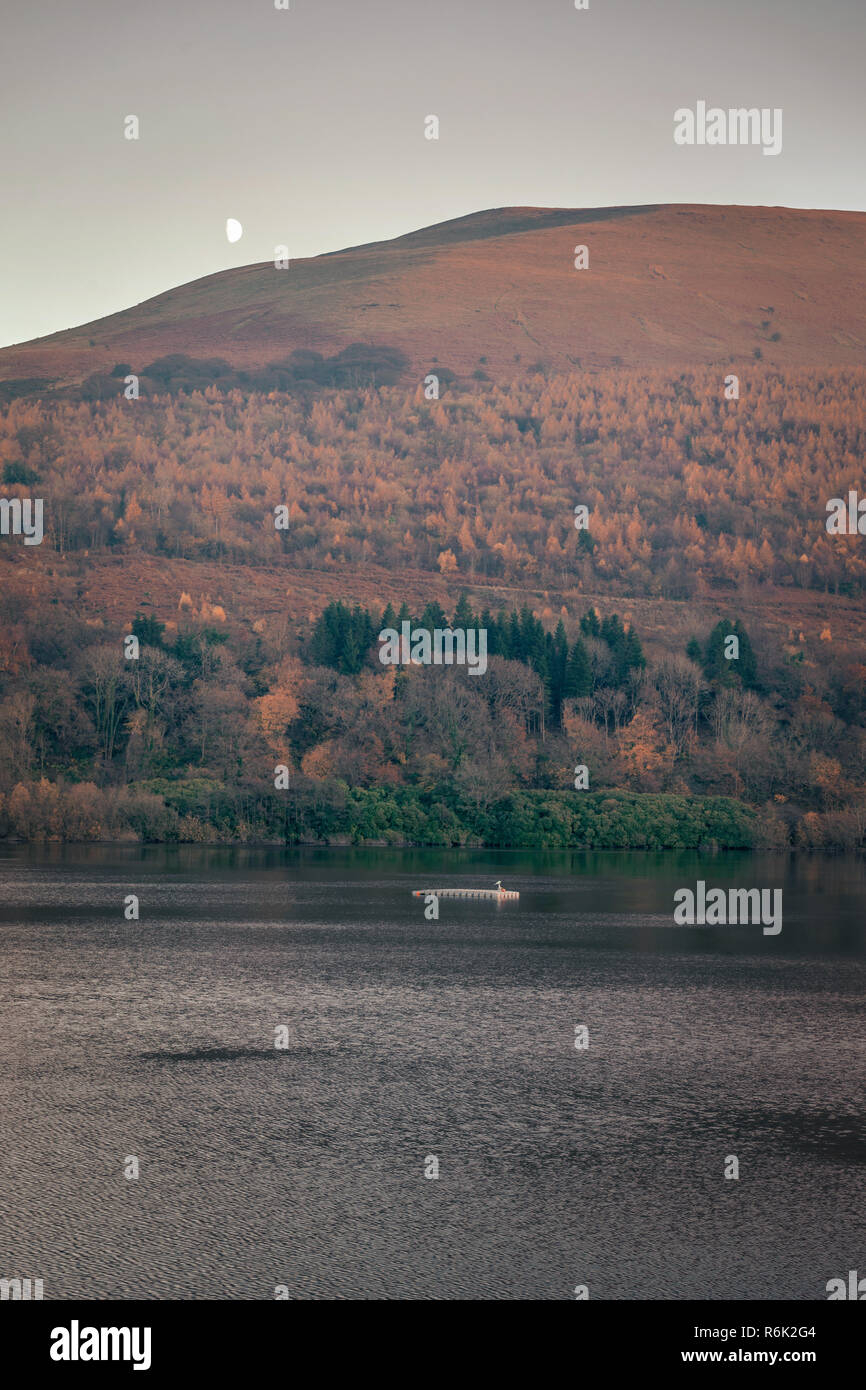 Scenic view across the Talybont Reservoir in the Brecon Beacons during autumn, Powys, Wales, UK Stock Photo