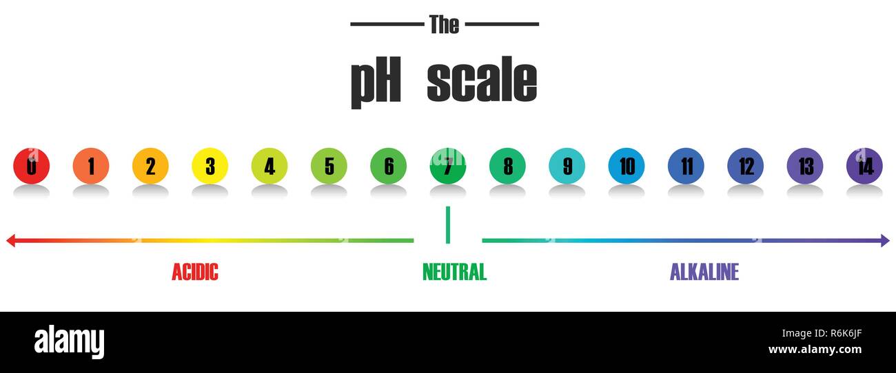 Science pH scale template illustration Stock Vector Image & Art Alamy