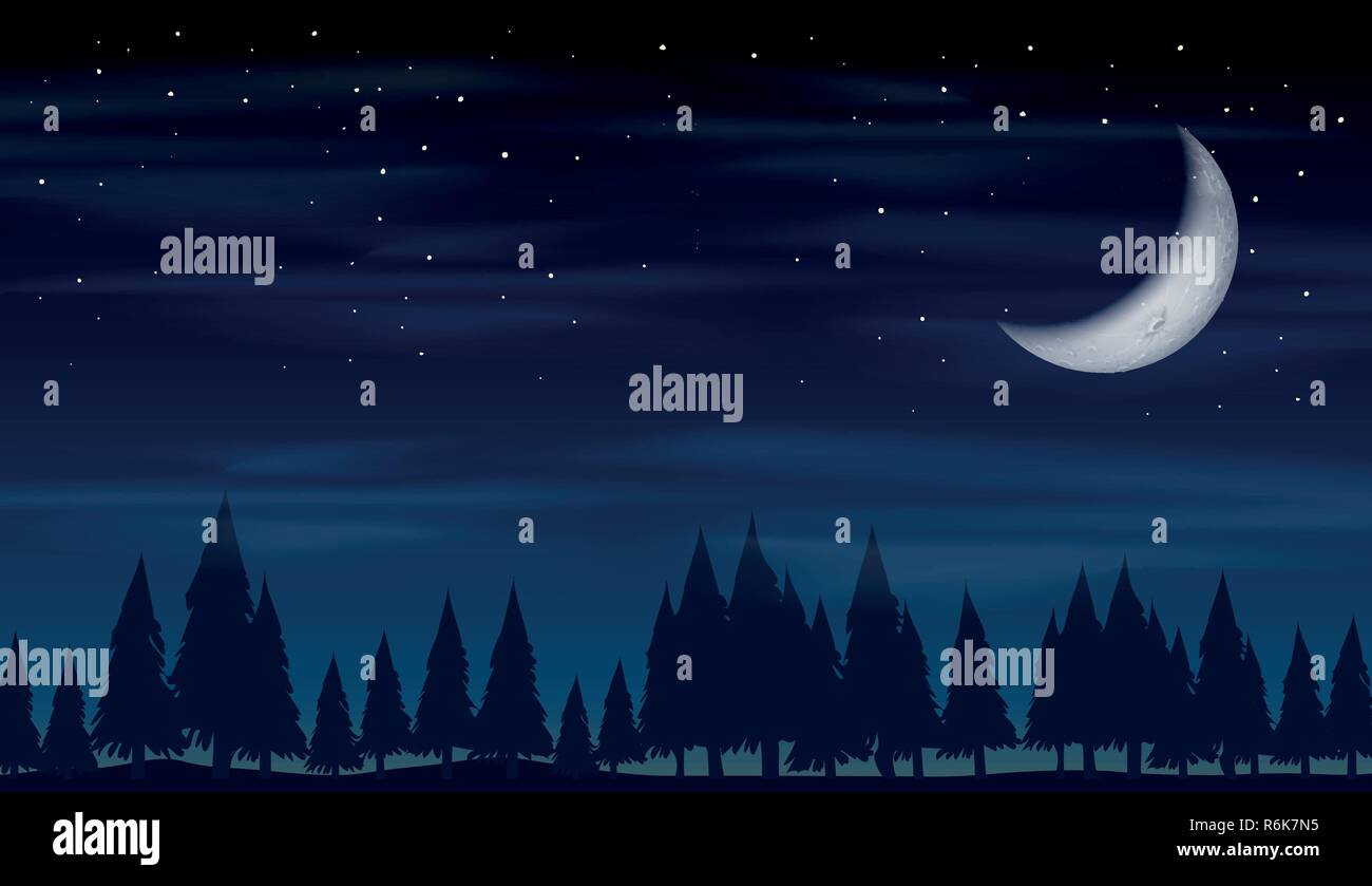 Night in the forest illustration Stock Vector Image & Art - Alamy