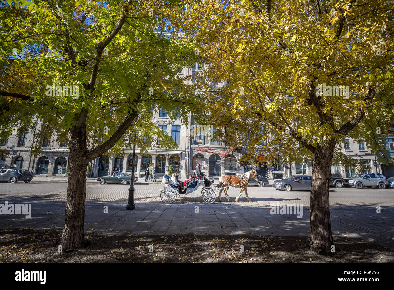 MONTREAL, CANADA - NOVEMBER 4, 2018: Horse Drawn Cart Buggy carrying tourists passing by Rue de la Commune street in Old Montreal seafront, or Vieux M Stock Photo