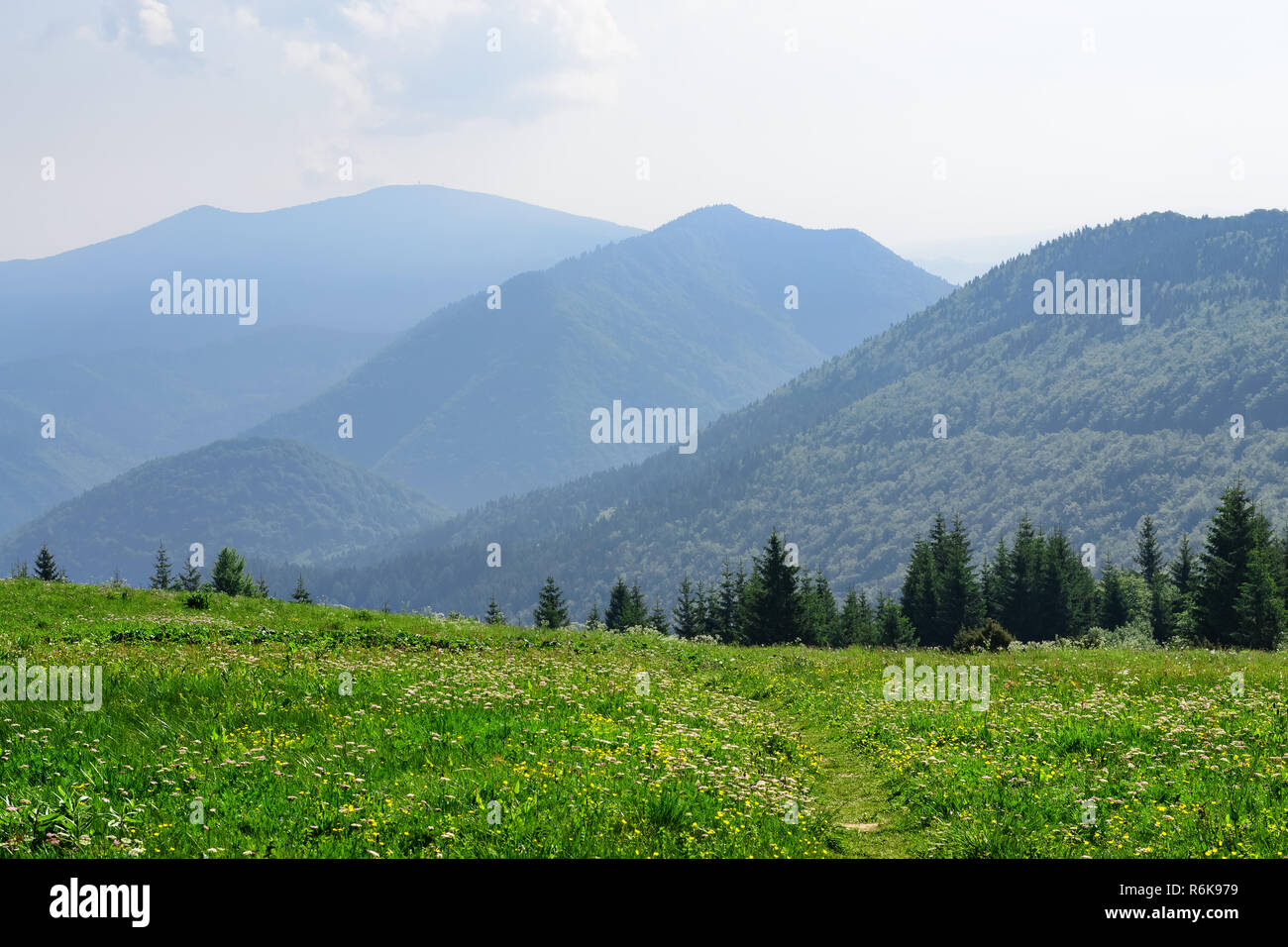 The meadows in The Vratna valley at the national park Mala Fatra, Slovakia  Stock Photo - Alamy